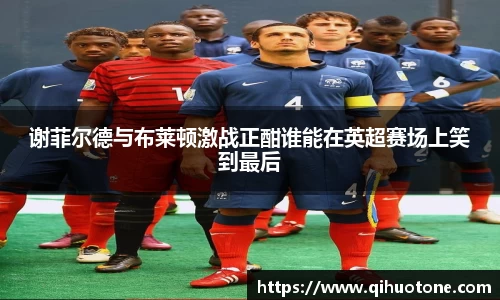 谢菲尔德与布莱顿激战正酣谁能在英超赛场上笑到最后