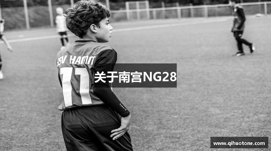 关于南宫NG28
